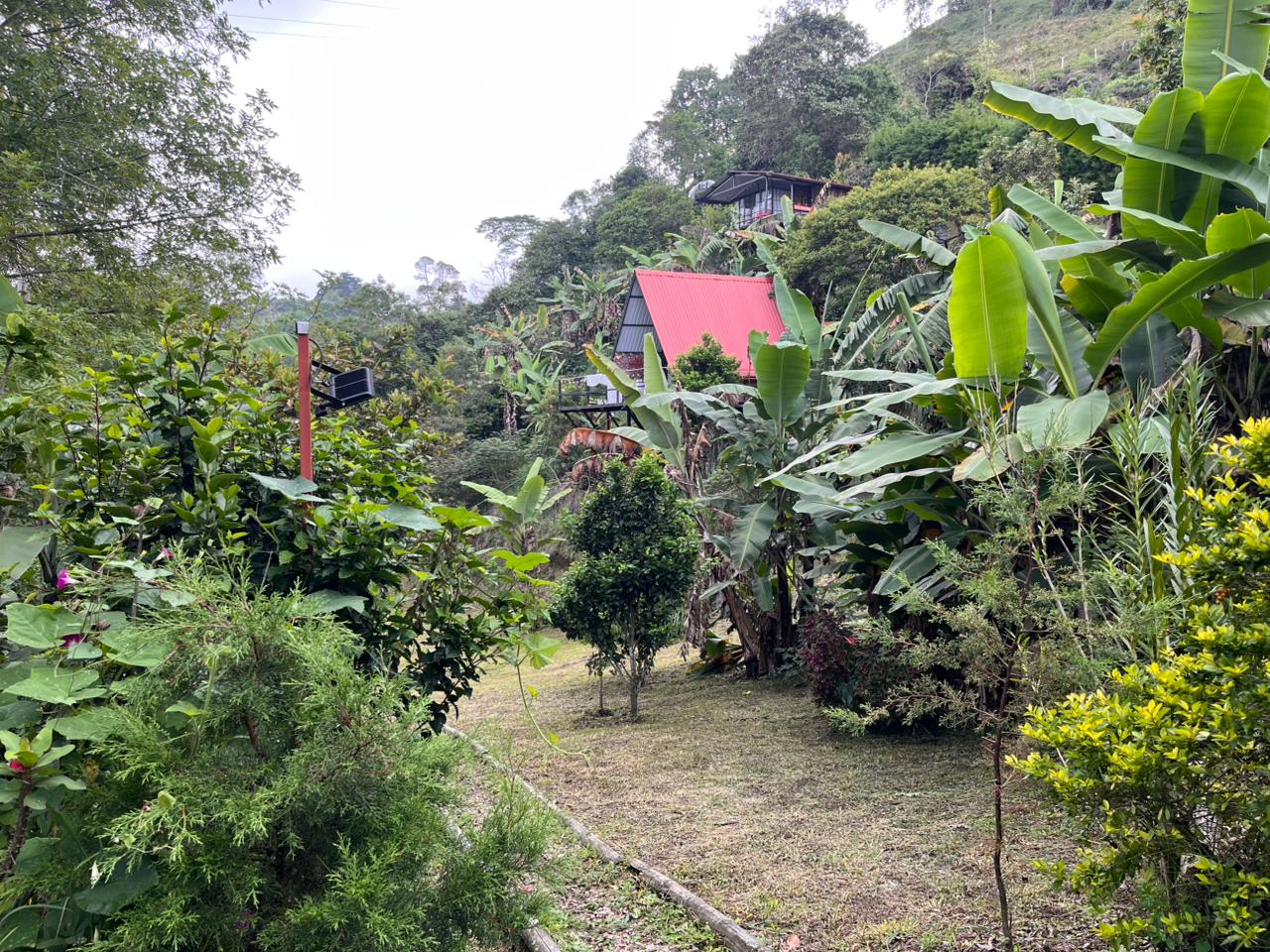 Senderos naturales